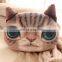 3D Print Cute Cat 2015 Halloween Product Cartoon Pillow Cushion