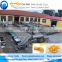 professional manufacturing company for potato chips production line with best quality
