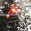 racing spare Stainless Steel engine valves set For Ford Focus II & MAZDA 3 Axela & VOLVO S40 V50 C30 C70 Minivan Mazdaspeed 3 6