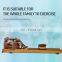 LZX-H3 Life Fitness Gym Equipment Wood Water Rowing Club Rowing Machine