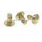 Round Head Type U Drive Screws Brass Hammer Drive Screws