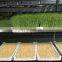 Easygreen Mikrofarm/Bioset/Tribest Sprouter With Best Sprouting Systems For Sale