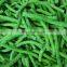 Fresh IQF Cowpea IQF Cut Long Bean X Ray Frozen Asparagus Bean