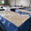7/16 phenolic poplar pine hardwood waterproof  tongue and groove OSB board