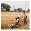 Agricultural Machinery Harvester Wheat Cutter Machine Mini Wheat Rice Reaper