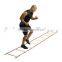 Adjustable Crossfit Agility Ladder In Football And Soccer