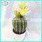 26cm high quality real touch pu cactus artificial plant