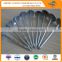 Direct factory hot sales umbrella head roofing nail/common nails