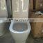 High Watertank One Piece Toilet