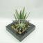 Office decorative artificial plants artificial tropical plants with square pot series