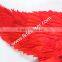 Adult Fairy Red Large Goose Feather Angel Wings Craft Supplies