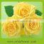 rose nursery directly fresh rose in China