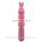 2015 Hot Selling 10 Function Rabbit Vibrator Sex Toys