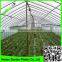 5 years use time greenhouse film,uv treated plastic film greenhouse,agriculture polyethylene film