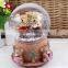 home decoration Creative gifts Teddy bear snow globe