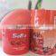 china hot sell traditional food,tomato sauce