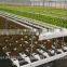 Commercial Greenhouses for Hydroponics Aquaponics and Aeroponics