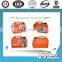 portbale 1-5KW GAS Generator for home use