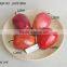 New Decorative high-simulation foam artificial apple for sale decorations