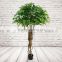 Fake Decorative Ficus Tree Artificial Ficus Tree Plant For Landscape Project