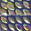 Wholesale Perfect Shining 17x32mm Marquise Shaped Stone For Luxury Decoration Loose Pointback setting stone