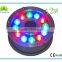 Waterproof DC12V/24V 12W led underwater dock lights with competitive price