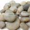 Polished black river stone pebble