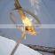 Solar Cooker