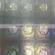 Anti fake transparent holograms overlay,films,foils to protect id cards