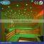 20W twinkle effect light engine sauna fiber optic light for ceiling lighting decoration