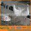 3-4 tiers cage for pigeon for poultry farm