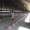 modern low price Poultry Farm chicken Buildings shed for sale
