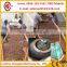 Hot sell vertical ring die wood pellet mill with CE