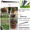 Dripper and Sprinkler Irrigation Greenhouse Adjustable Garden Sprinkler with Spikes