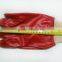 Red Industrial Working PVC Glove
