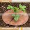 Green Field biodegradable tree ring disc