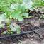 16mm/20mm drip irrigation pipe drip pipe drip inline pipe