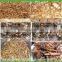 poultry feed dried mealworm / mealworm for chicken