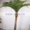 SJ12001161 artificial mini palm tree, silk palm tree