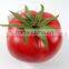 artificial plastic tomato for decoration fake vegetable