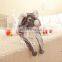 Wholesale plush koala bear hat Custom all kinds of animal hat