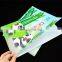 Cheap printing A4 custom plastic file folder for stationary office