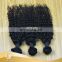 Hotbeauty Hair Top Quality Mongolian Kinky Curly Hair Unprocessed Afro Kinky Human Hair