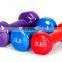 Wholesale Customized Women's Dip Plastic Dumbbell