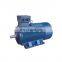 Y series three phase 220v ac induction motor 500 rpm
