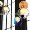 Color Glass LED Hanging Lamp G4 LED Light Suspension Lighting