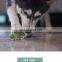 amazon hot selling RPE material non-toxic bite resistant dog toy pet chew toys
