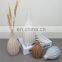 300ml scent ceramic essential oil aroma reed diffuser vase