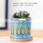 Nordic simple mandala decorative pattern cylindrical meaty ceramic small pot