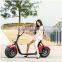 2016 the most fashionable citycoco 2 wheel electric scooter, adult electric motorcycle                        
                                                Quality Choice